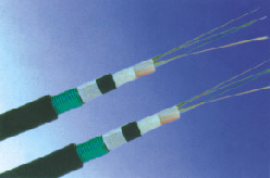 �c(di��n)���鿴�����DƬ