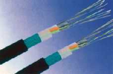 �c(di��n)���鿴�����DƬ