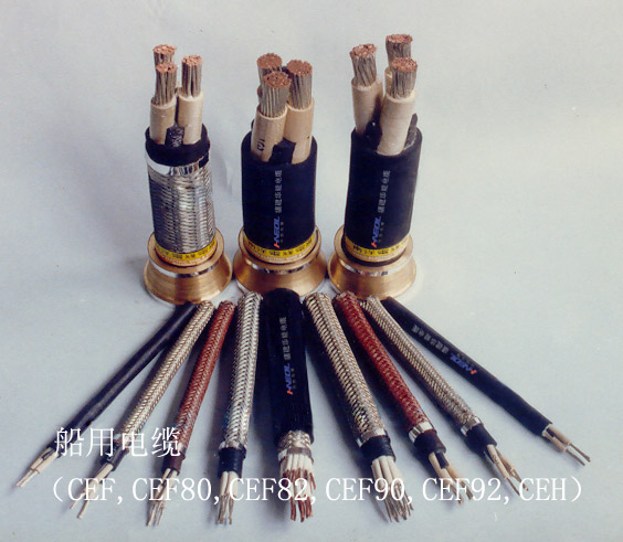 �c���鿴�����DƬ