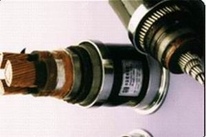 �c���鿴�����DƬ